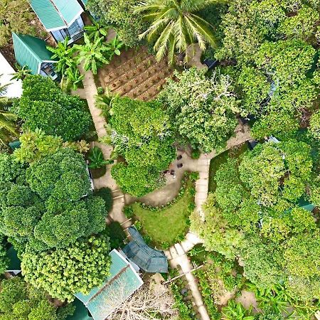 Homestay De la Rosa - Côn Đảo Chi Khu Co Ong Extérieur photo
